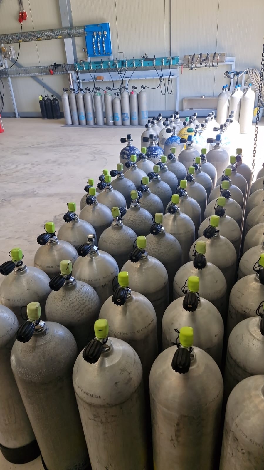 Rows of dive cylinders